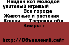 Найден кот,молодой упитаный игривый 12.03.2017 - Все города Животные и растения » Кошки   . Тверская обл.,Кимры г.